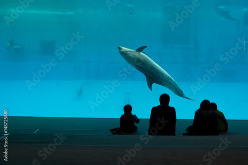 Family watching captive dolphin performing in large aquarium