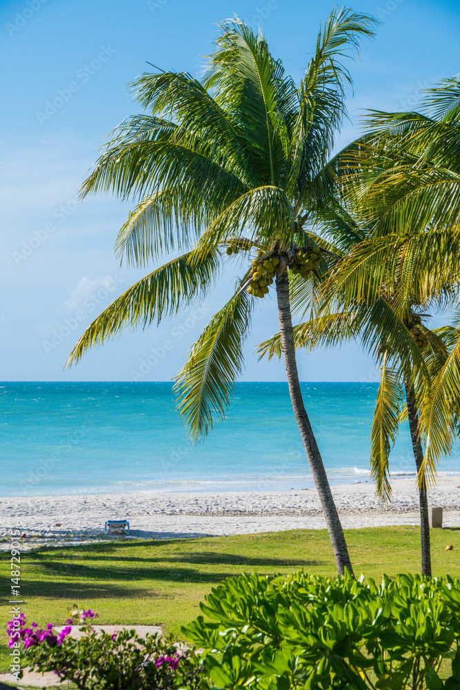 Fototapeta premium Beautiful Mantanzas Cuba 