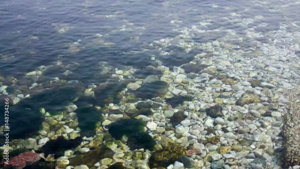 the seabed near the shore the seabed near the shore