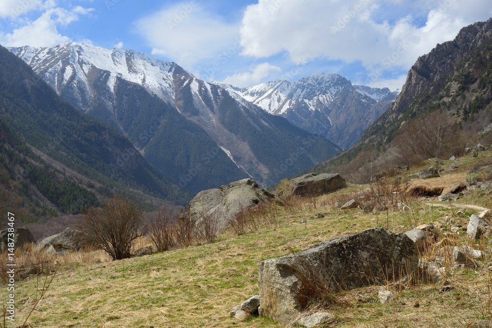 Caucasus in spring