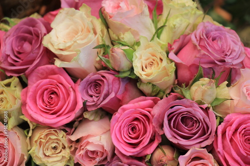 Mixed pink roses