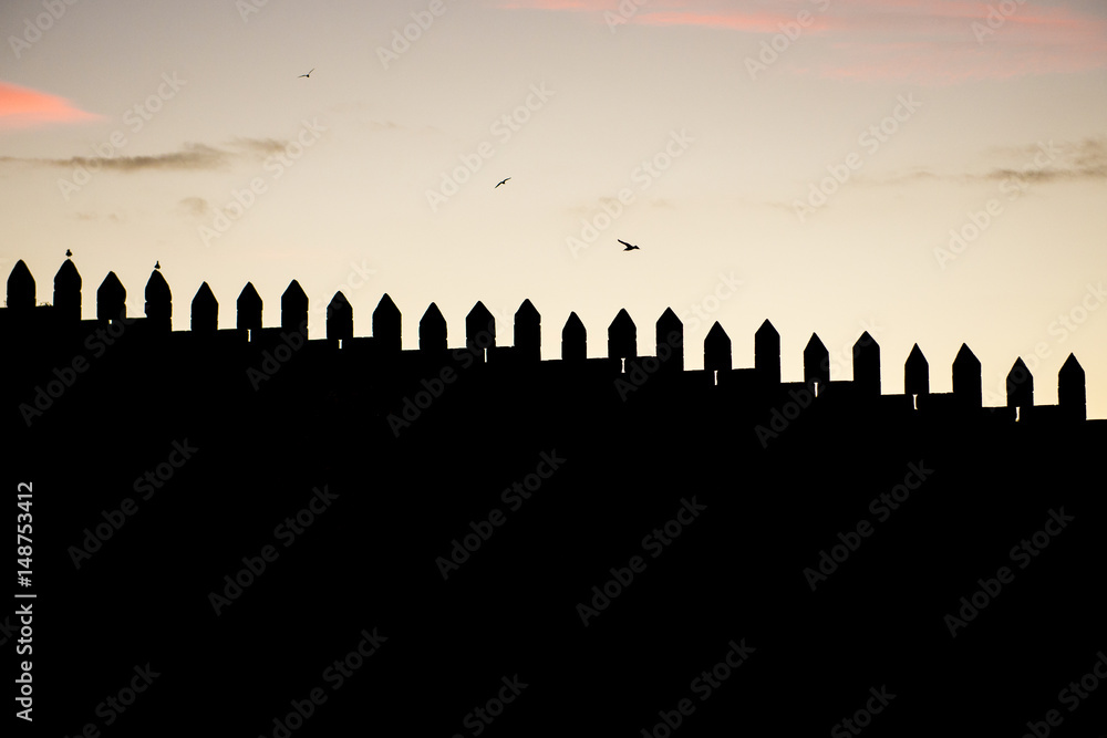 Walls Of D Fernando In Porto City Portugal Stock Photo Adobe Stock