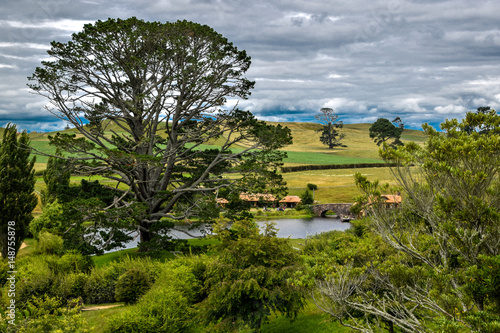 New Zealand landscapes 