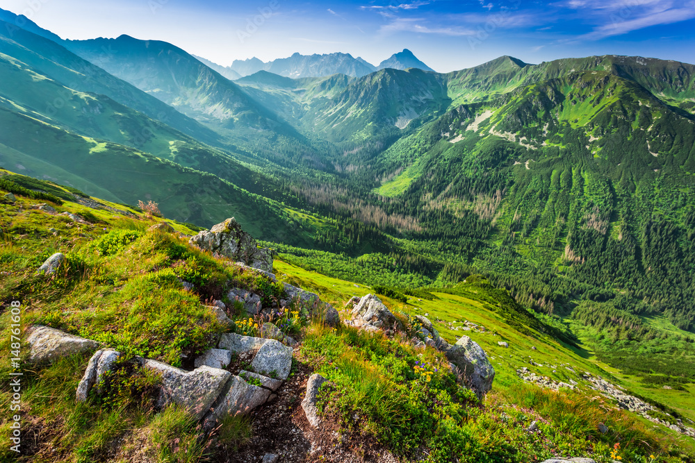 Beautiful dawn in the Tatras mountains, Poland, Europe - obrazy, fototapety, plakaty 