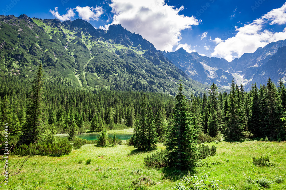 Obraz premium Wonderful small pond in the Tatras in summer, Poland, Europe