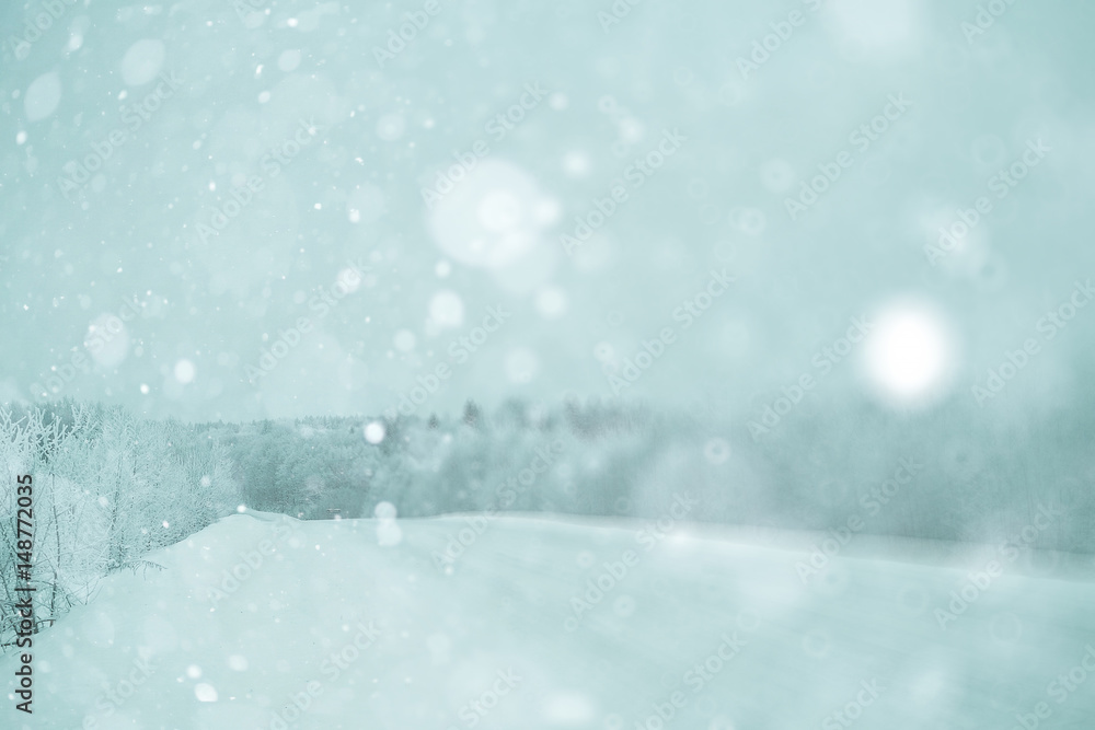 Winter forest blurred background snow landscape Winter forest blurred background snow landscape
