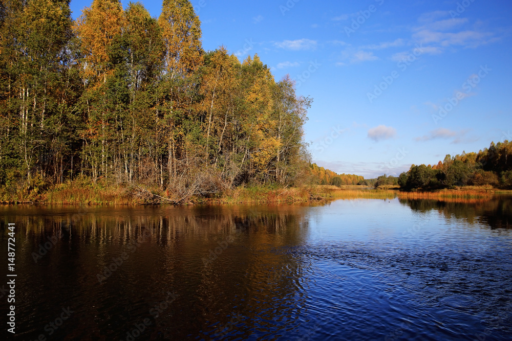 Autumn forest lake sky