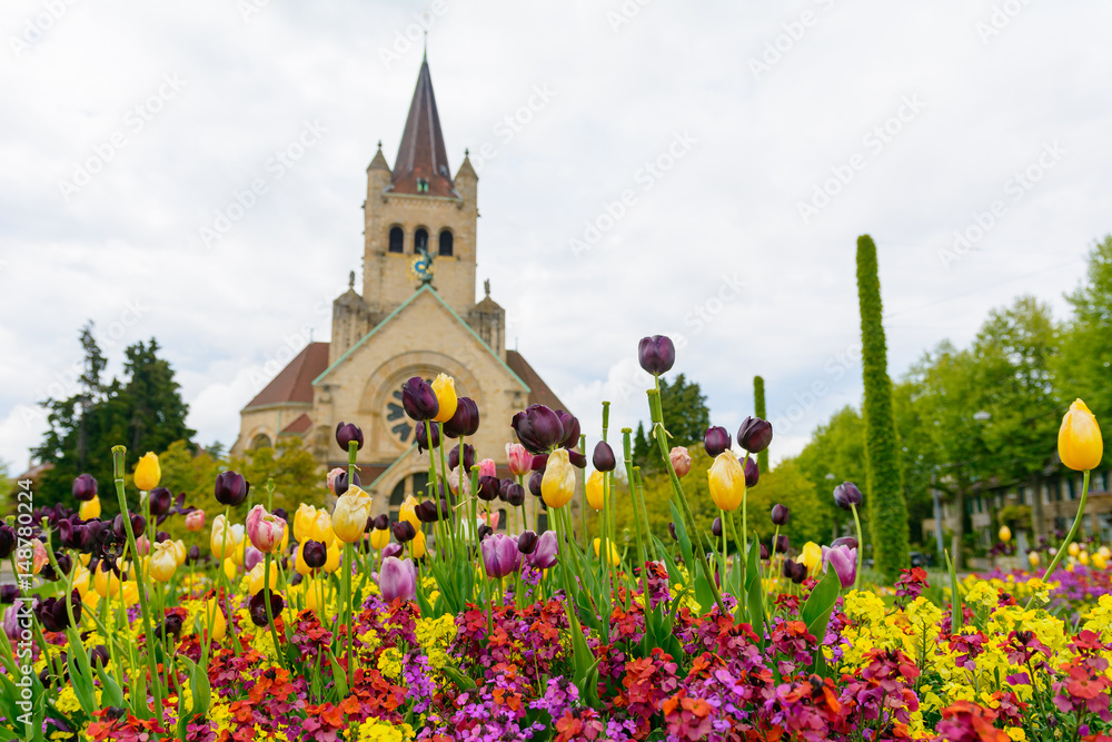 Tulpenmeer vor Kirche in Basel