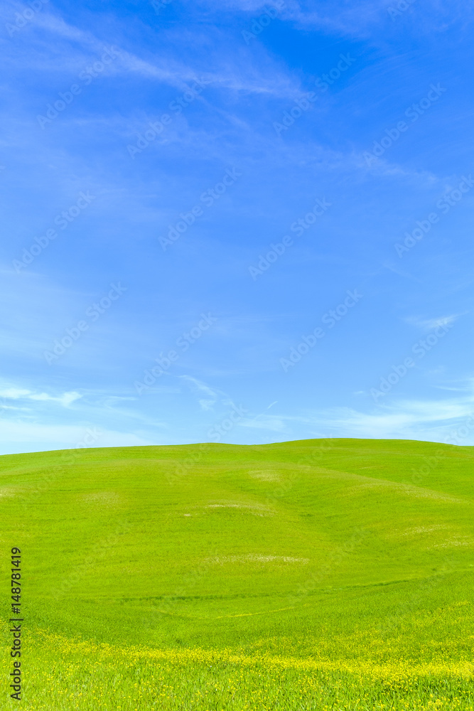 Countryside landscape in Tuscany Italy