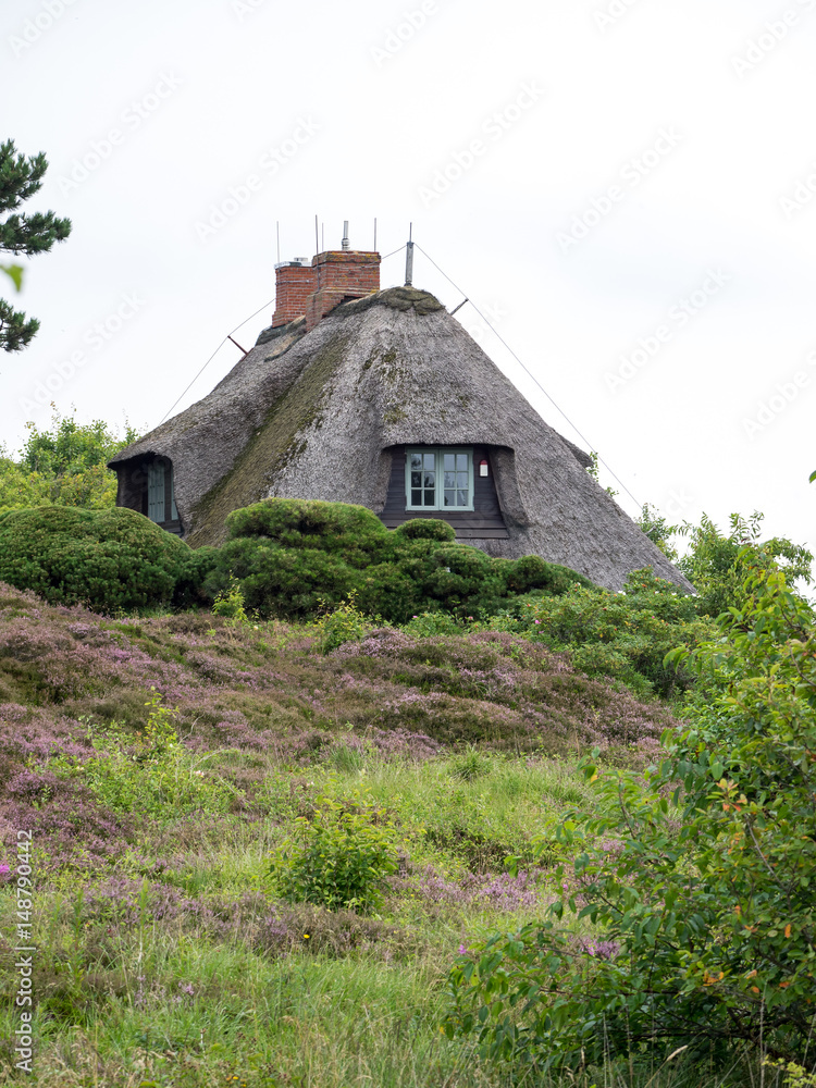 Fototapeta premium Haus mit Reetdach Nordsee
