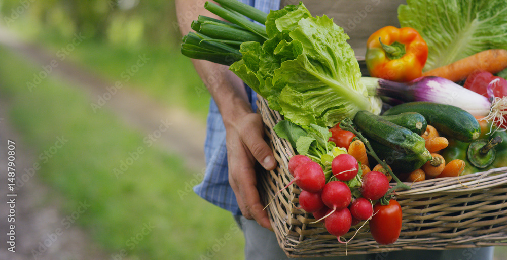 Portrait of a happy young farmer holding fresh vegetables in a basket. On a  background of