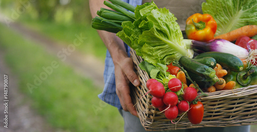 Portrait of a happy young farmer holding fresh vegetables in a basket. On a background of nature The concept of biological, bio products, bio ecology, grown by own hands, vegetarians, salads healthy