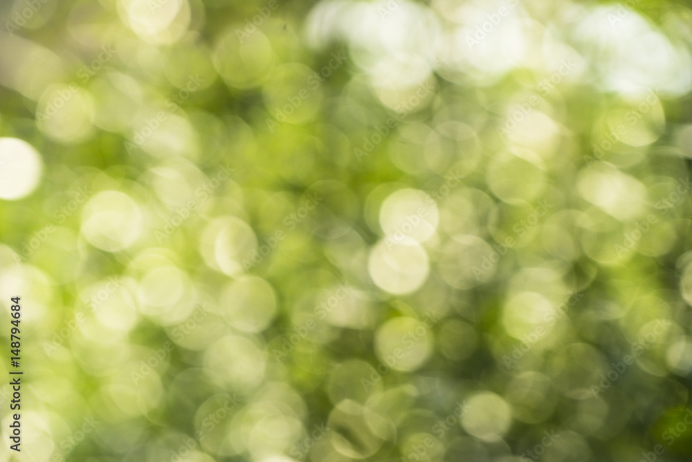 Out of focus green plants.