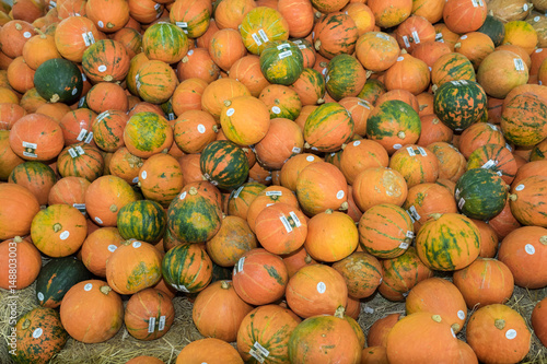 Cantaloop on sale in the market