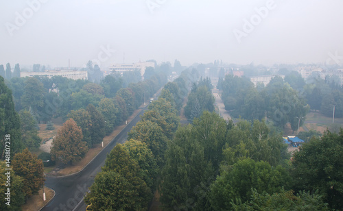 traffic street in the fog