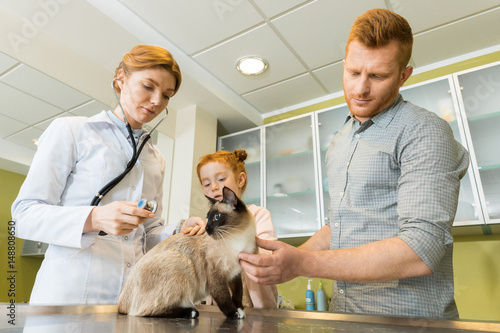 Woman veterinary ausculting cat with stethoscope at clinic photo