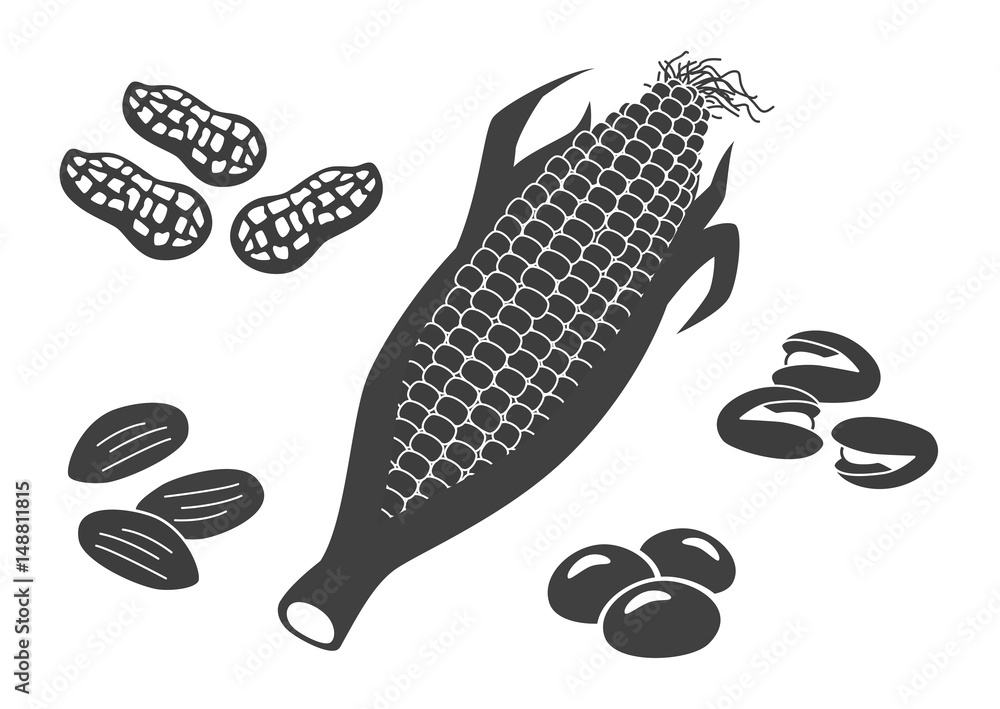 食材イラスト Images Browse 21 Stock Photos Vectors And Video Adobe Stock 食材イラスト Images Browse 21 Stock Photos Vectors And Video Adobe Stock