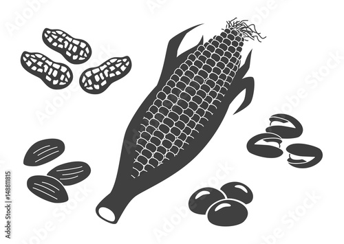 シルエットのイラスト 食材 豆類 Stock イラスト Adobe Stock シルエットのイラスト 食材 豆類 Stock イラスト Adobe Stock