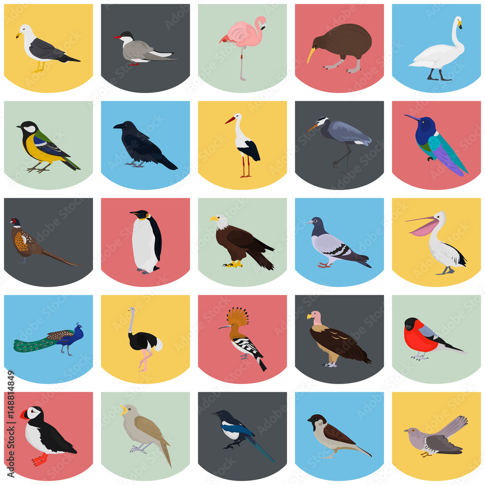 Set of color birds icons for web and mobile design