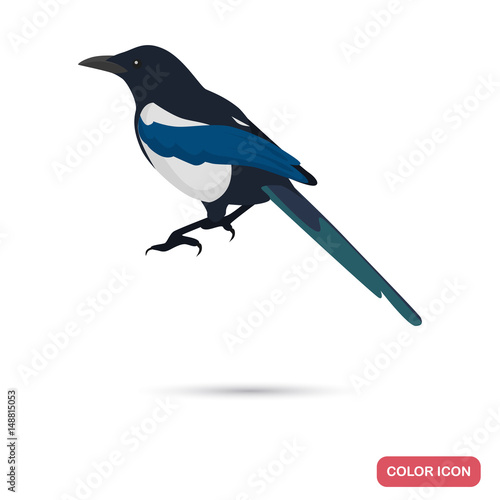 Fotomurale Magpie color flat icon for web and mobile design