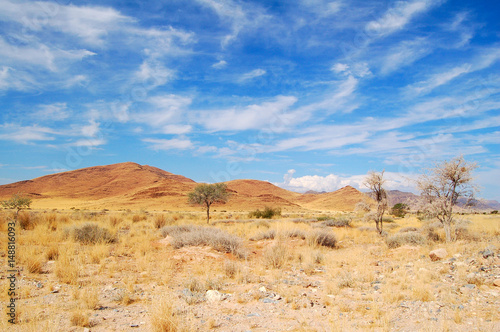 Typical Landscape in Namibia