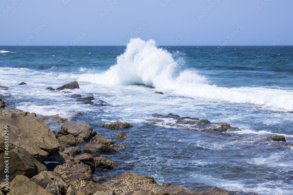 Fototapeta premium Wave