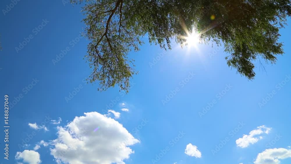 Sunny windy weather on river beach in summer. Beautiful bright sunlight through lush green leaves on moving in wind branches and clear blue sky with white clouds. Real time full hd video footage. Sunny windy weather on river beach in summer. Beautiful bright sunlight through lush green leaves on moving in wind branches and clear blue sky with white clouds. Real time full hd video footage.