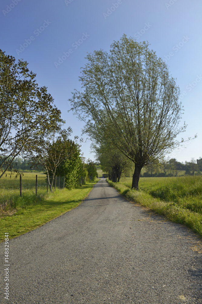 Strada sterrata di campagna.