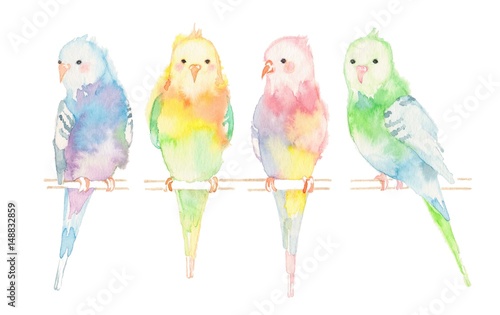 インコ 4羽 Stock イラスト Adobe Stock インコ 4羽 Stock イラスト Adobe Stock