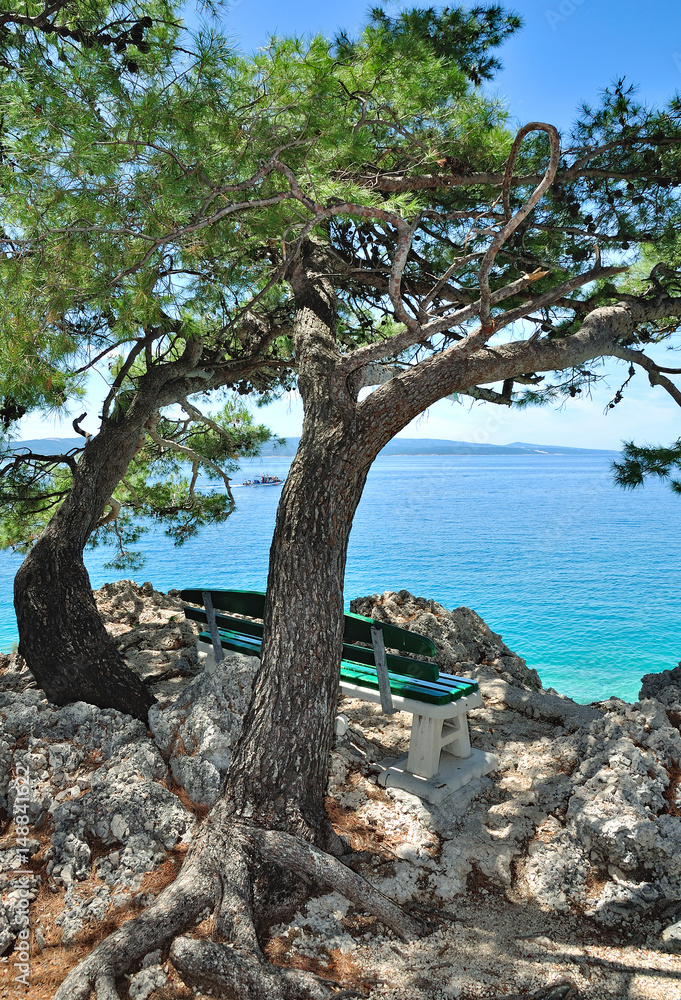 idyllischer Platz zum relaxen an der Seepromenade in Brela an der Makarska Riviera,Adria,Dalmatien,Kroatien