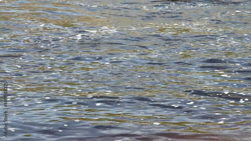 River water surface River water surface