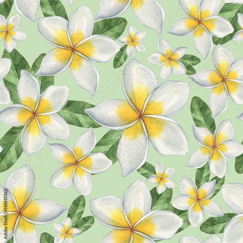  Hawaiian flowers. Seamless floral pattern. Watercolor illustration. Hand-drawing
