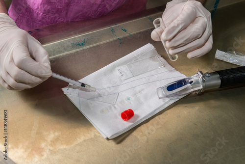 Wallpaper Mural Vétérinaire ; glucomètre ; analyse; urine ; bandelette ; piqûre; examen; sanguin; race; plasma; sérum; centrifugeuse; goutte à goutte  Torontodigital.ca