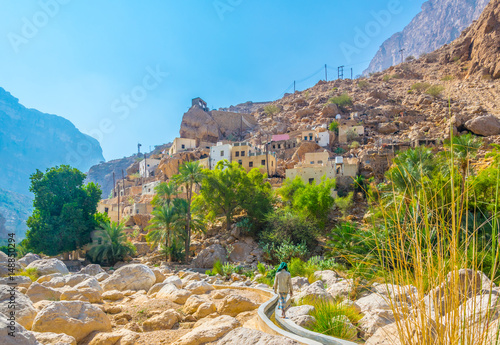View of an oasis with typical falaj irrigation system in the Wadi Tiwi in Oman. photo