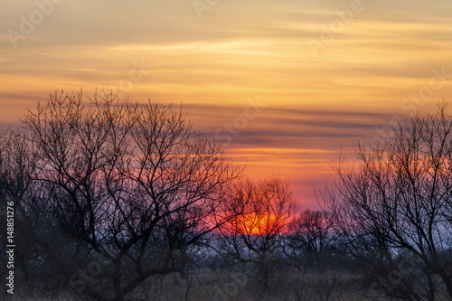 Colorful sunset