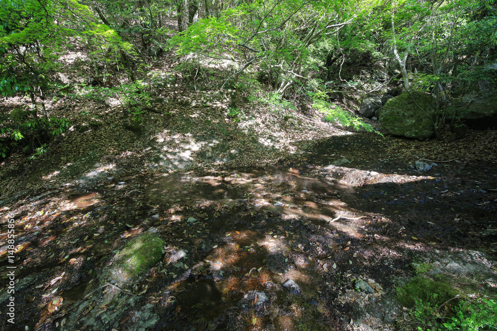 香川県小豆島町 寒霞渓 戛玉渓(素麺流し) 香川県小豆島町 寒霞渓 戛玉渓(素麺流し)