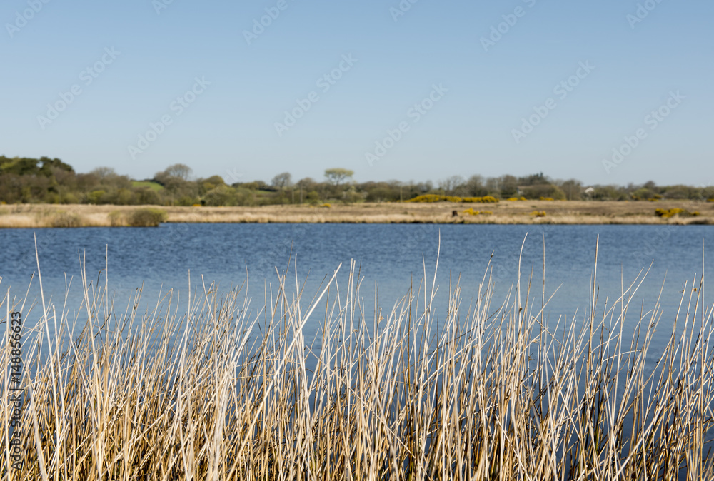 Landscape image of a tranquil blue lake 
