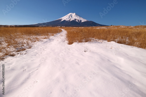Scène de neige Mont Fuji de Nashigahara dans la préfecture de Yamanashi