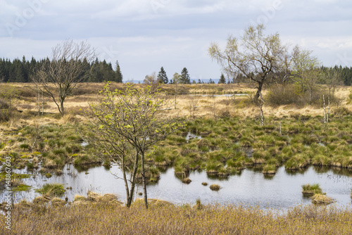 Hohes Venn Naturparkzentrum Botrange photo