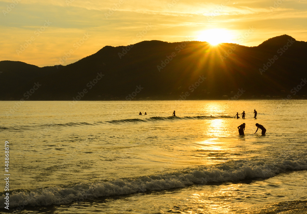 Fototapeta premium pantano do sul / florianópolis