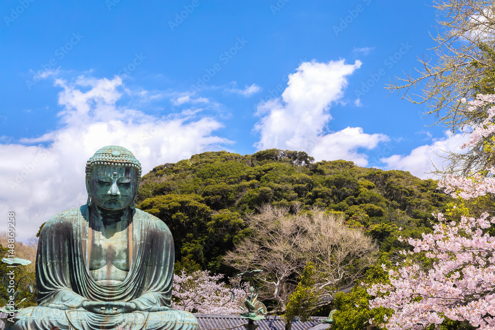 The Great Buddha in Kamakura Japan. The foreground is cherry blossoms. Located in Kamakura, Kanagawa Prefecture Japan. The Great Buddha in Kamakura Japan. The foreground is cherry blossoms. Located in Kamakura, Kanagawa Prefecture Japan.