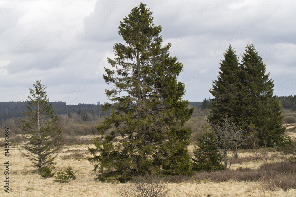 Hohes Venn Naturparkzentrum Botrange Hohes Venn Naturparkzentrum Botrange