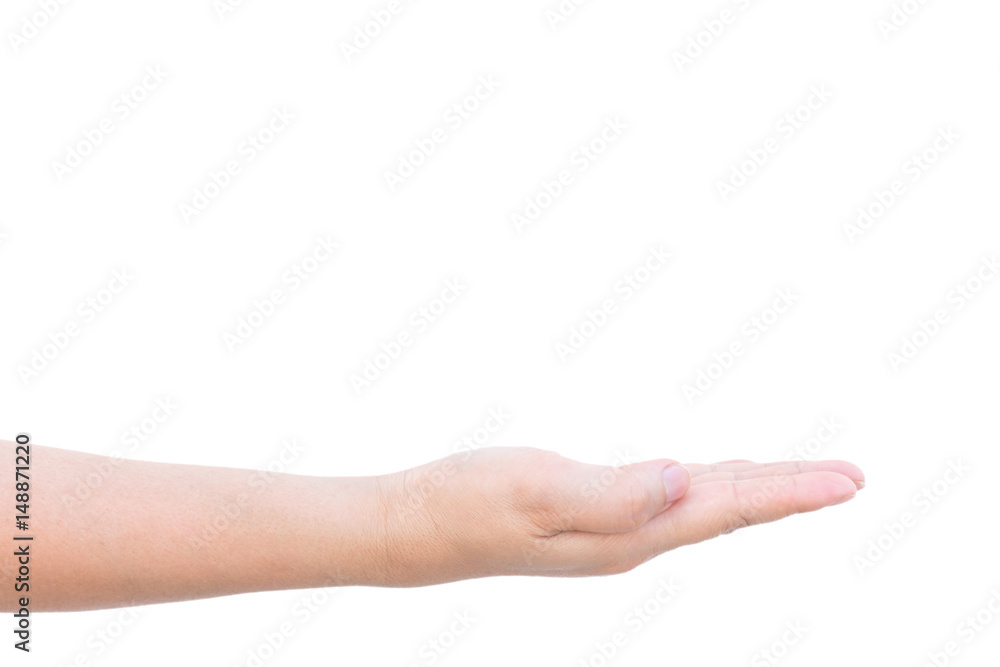 Empty woman hands isolated on white background Empty woman hands isolated on white background