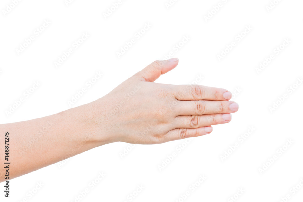 Beautiful woman's hands isolated on white background