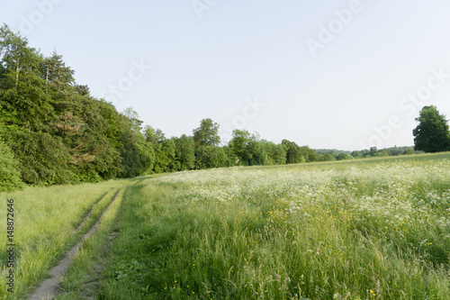 English countryside.