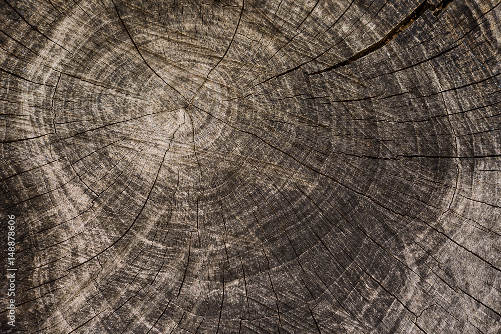 Naklejka premium Wooden background