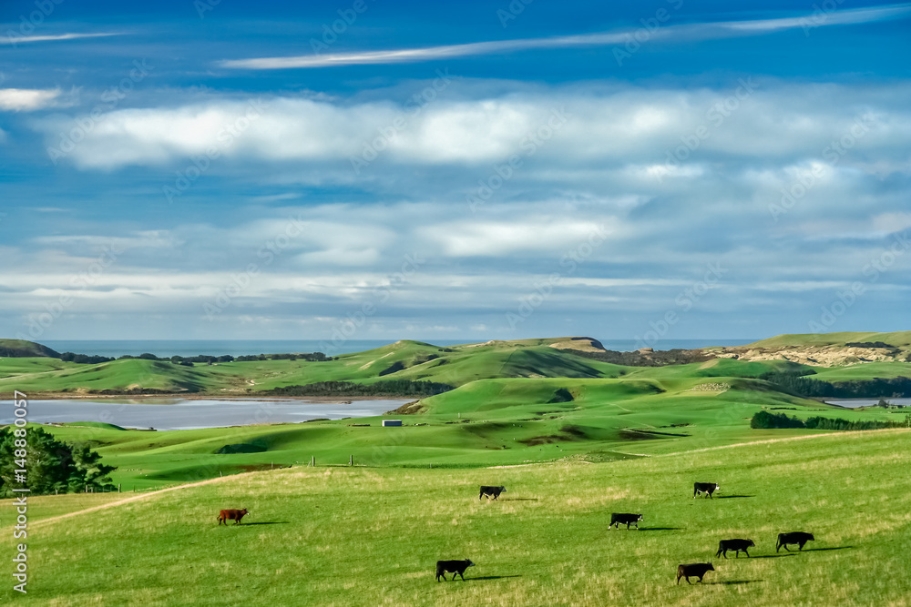 Fototapeta premium Endless green pasture