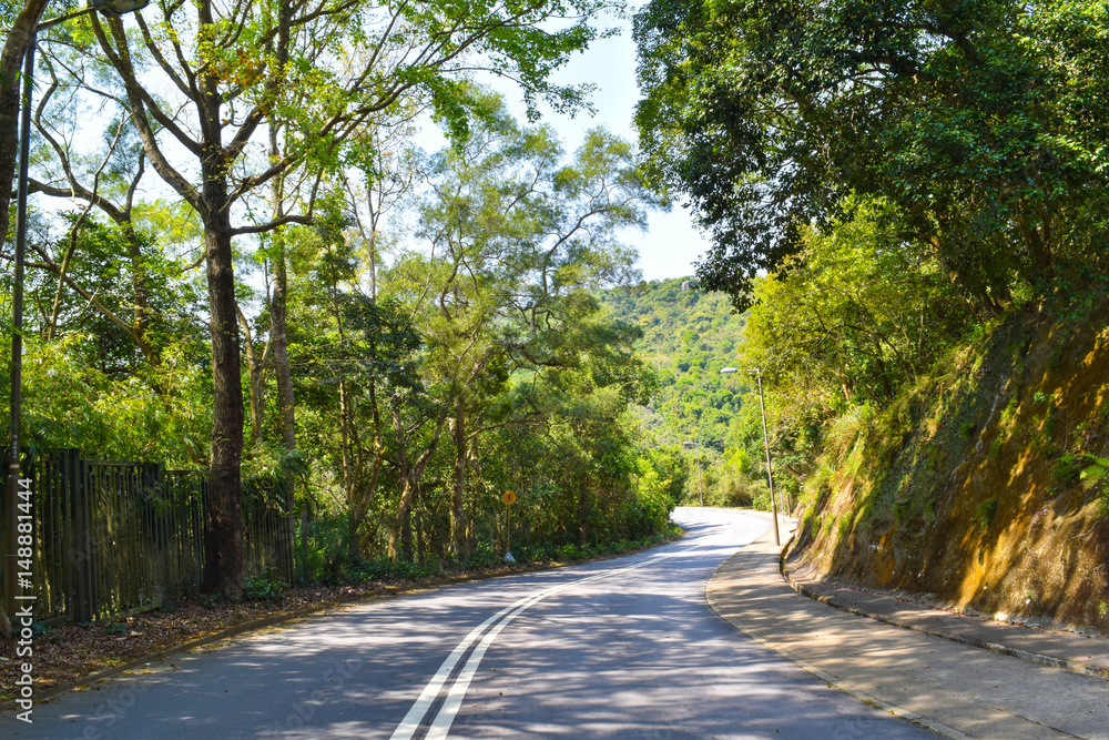 Empty road with trees on two sides