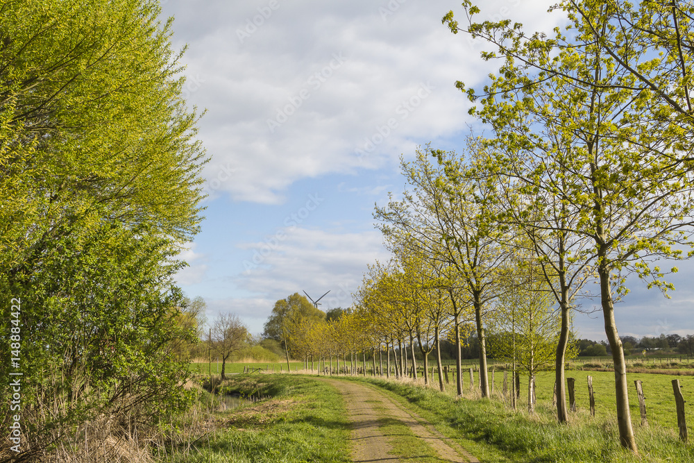 Im Umkreis der Lesum in Bremen-Marssel im Frühling Im Umkreis der Lesum in Bremen-Marssel im Frühling