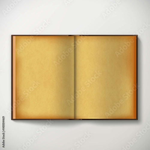 Old open antique book with open blank sheets